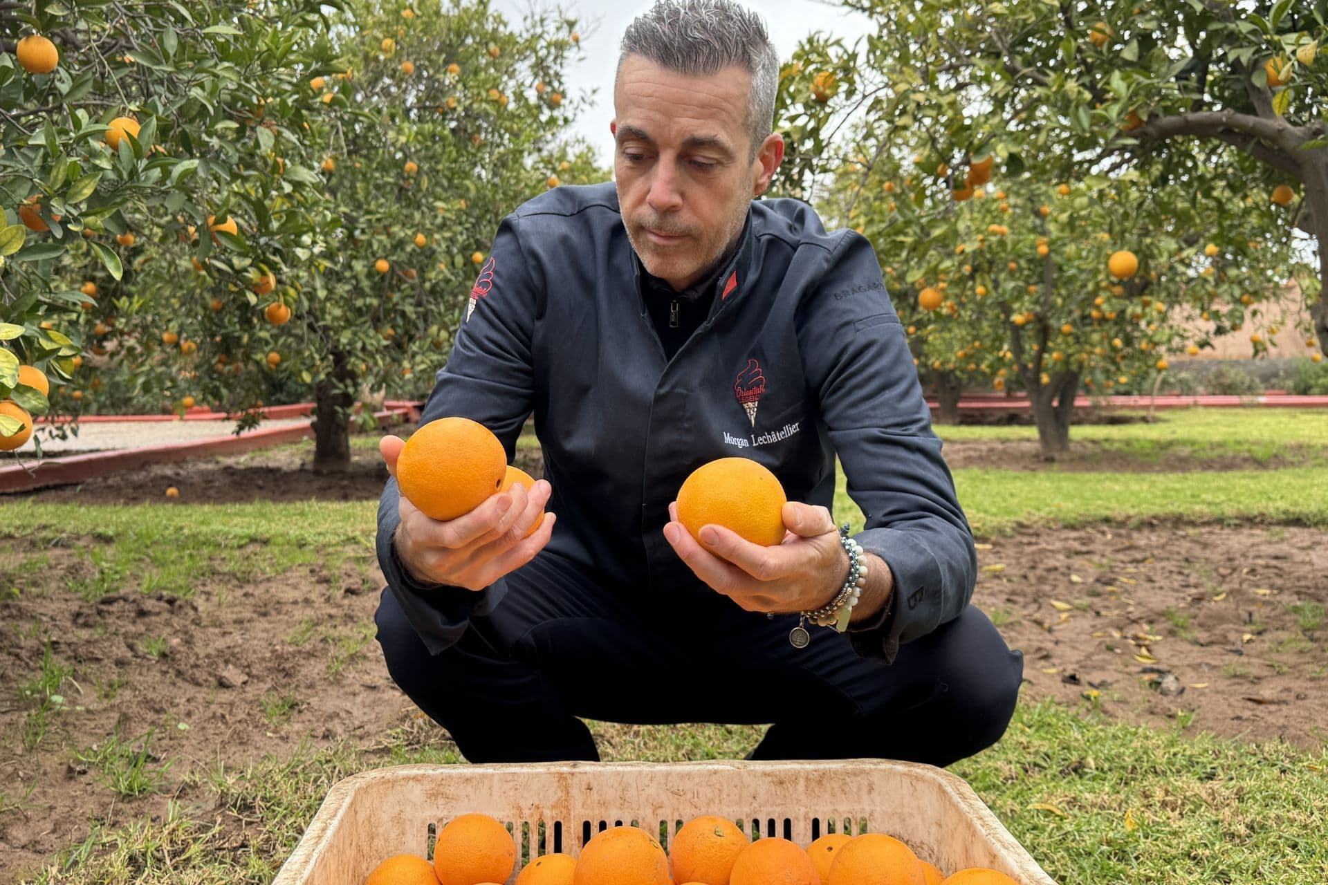 Fournisseur d'oranges — ingrédients d'exception sélectionnés par Morgan Lechâtellier pour Oriental Legend